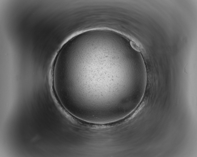 X0000087671526200705111147