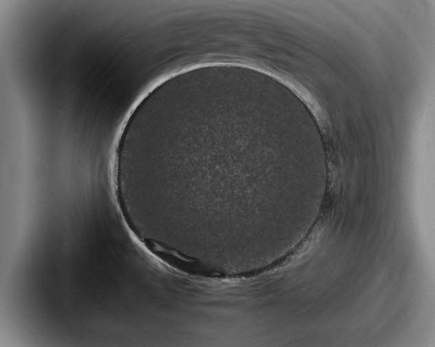 X0000087671527200705111147