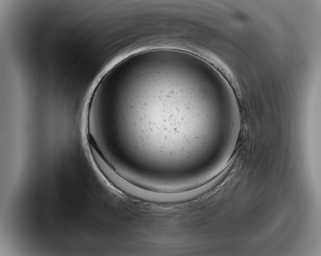 X0000087671528200705111147