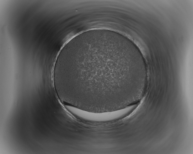 X0000087671529200705111147