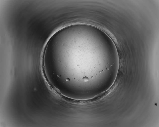 X0000087671530200705111147