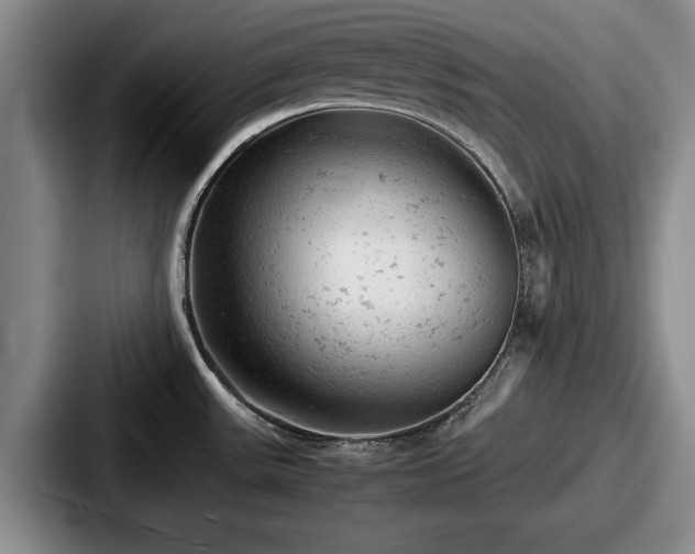 X0000087671531200705111147