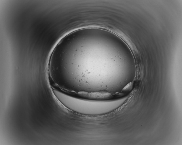 X0000087671532200705111147