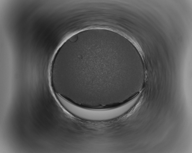 X0000087671533200705111147