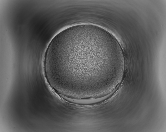 X0000087671534200705111147