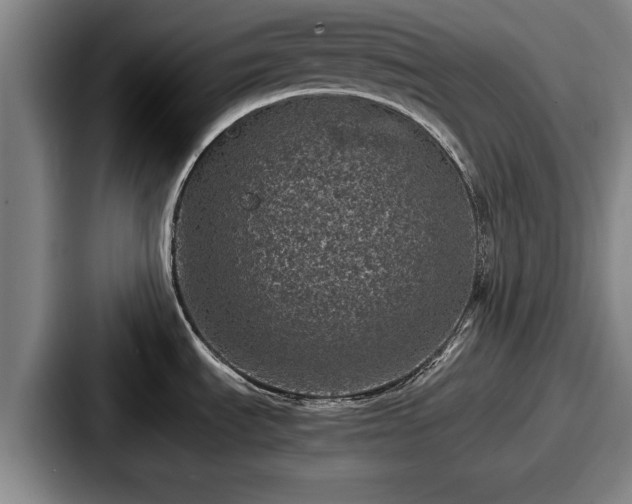 X0000087671535200705111147