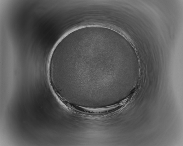 X0000087671536200705111147