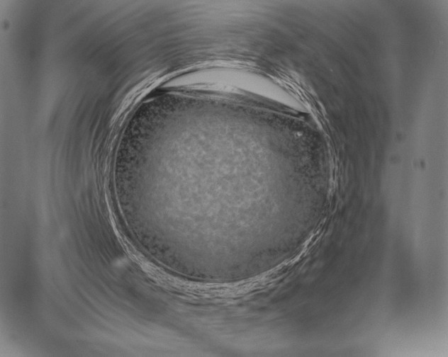 X0000087670001200705181716