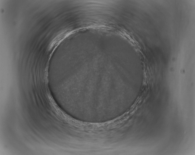 X0000087670002200705181716