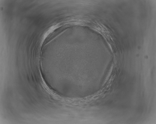 X0000087670003200705181716