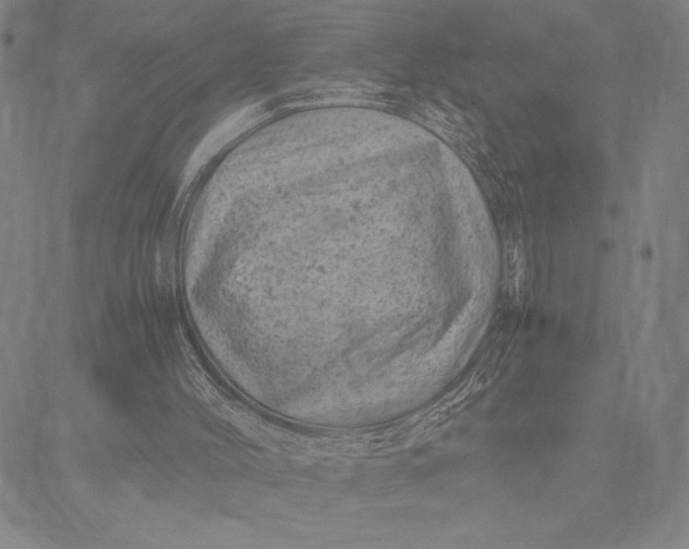 X0000087670004200705181716