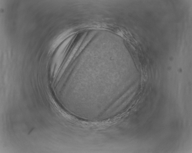 X0000087670005200705181716