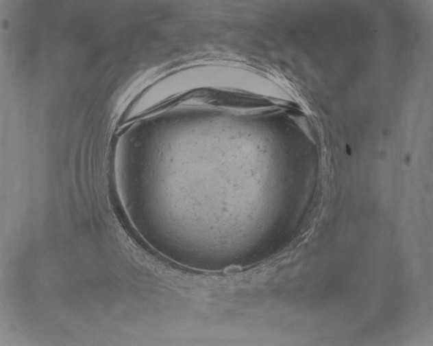 X0000087670007200705181716