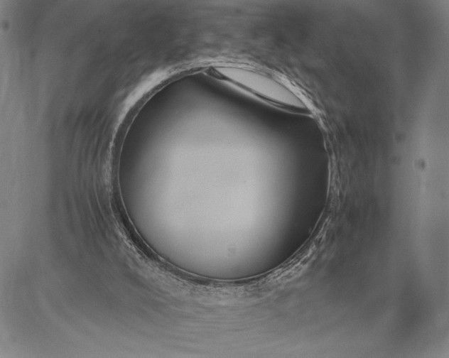 X0000087670008200705181716