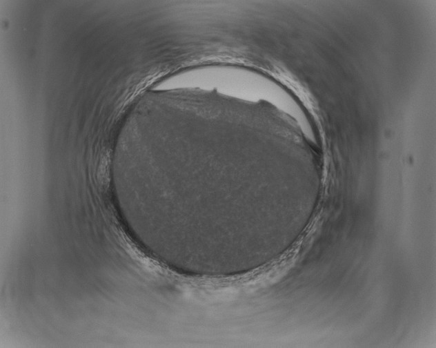 X0000087670009200705181716