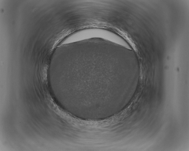 X0000087670010200705181716