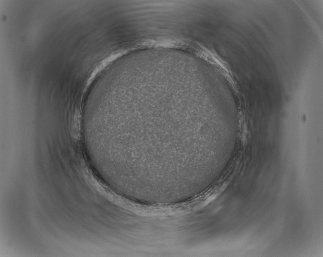 X0000087670012200705181716