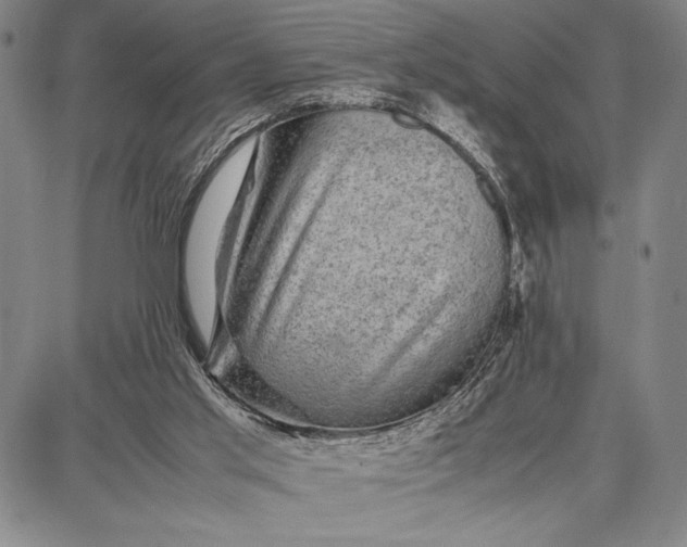 X0000087670013200705181716