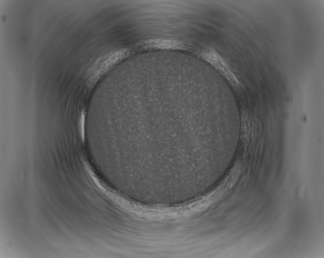 X0000087670014200705181716