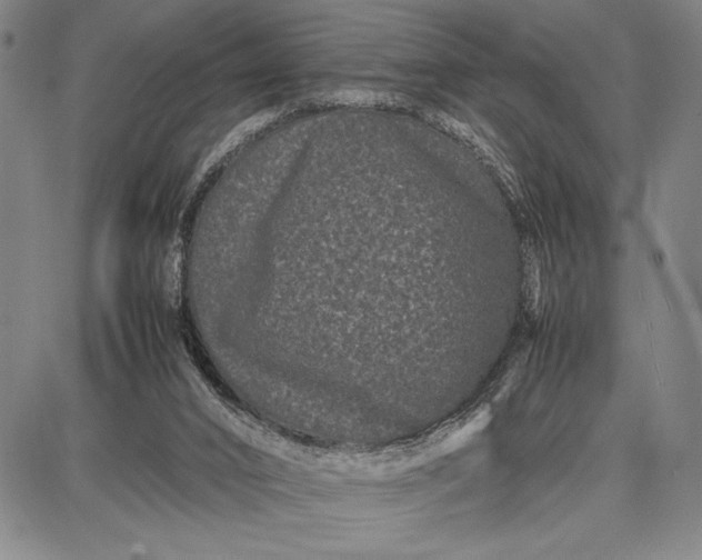 X0000087670016200705181716