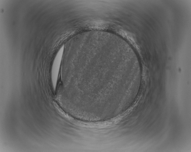 X0000087670017200705181716