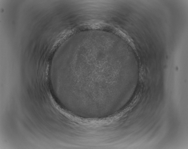 X0000087670018200705181716