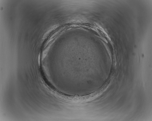 X0000087670019200705181716