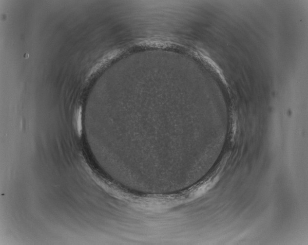 X0000087670020200705181716