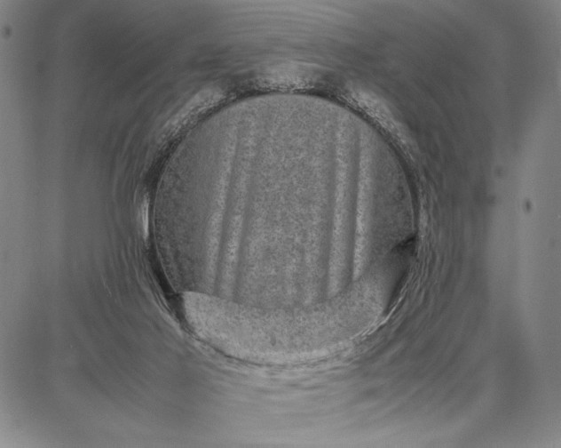 X0000087670021200705181716