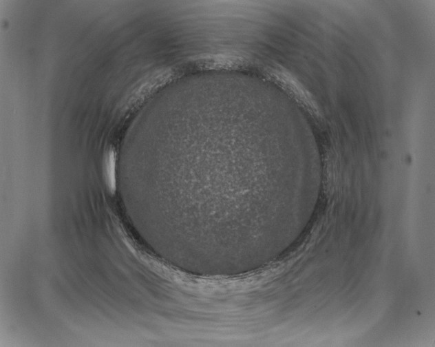 X0000087670022200705181716