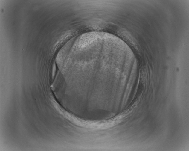 X0000087670023200705181716