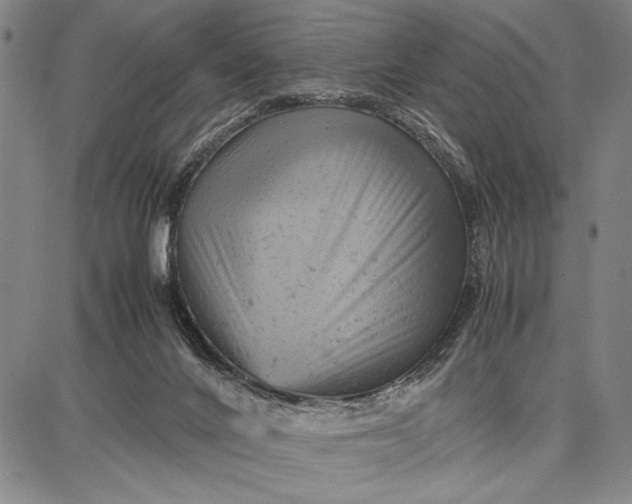 X0000087670024200705181716