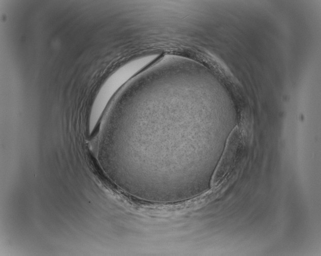 X0000087670025200705181716