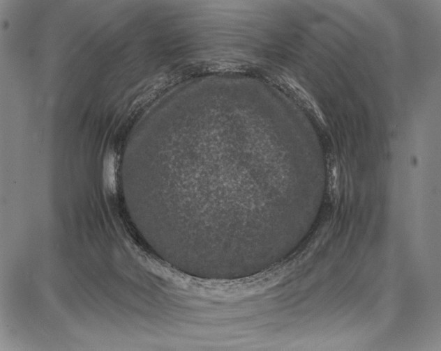 X0000087670026200705181716