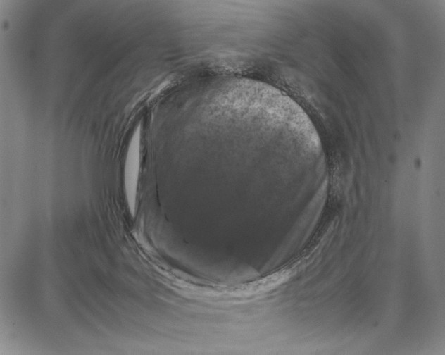 X0000087670027200705181716