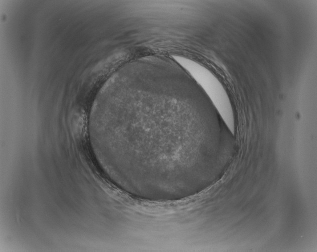 X0000087670029200705181716