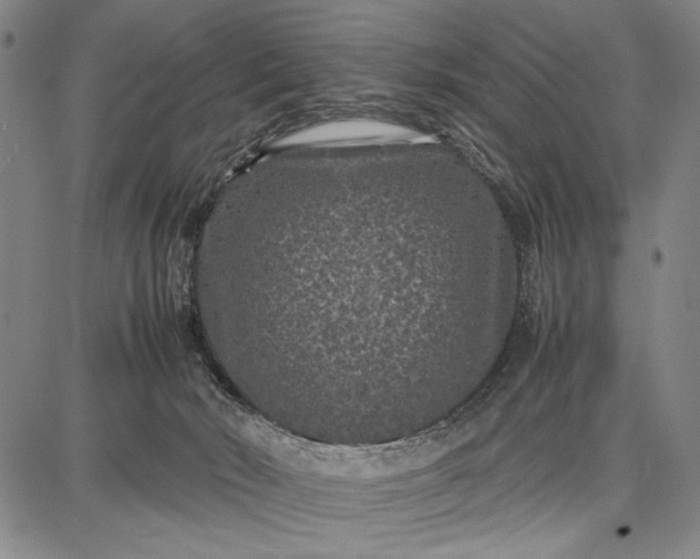 X0000087670030200705181716