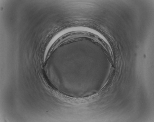 X0000087670031200705181716