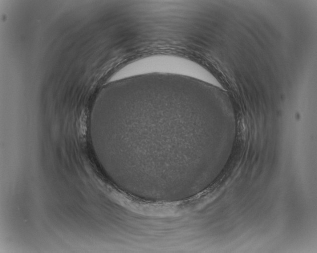 X0000087670032200705181716