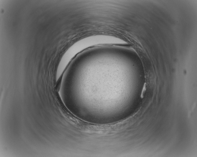 X0000087670033200705181716