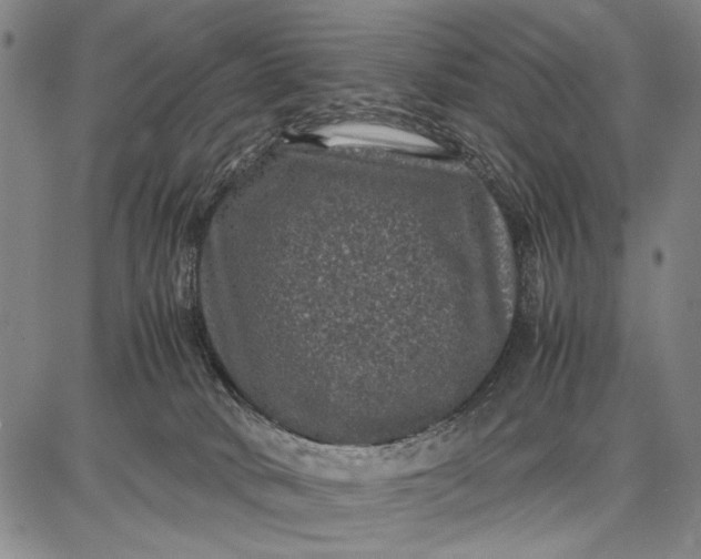 X0000087670034200705181716