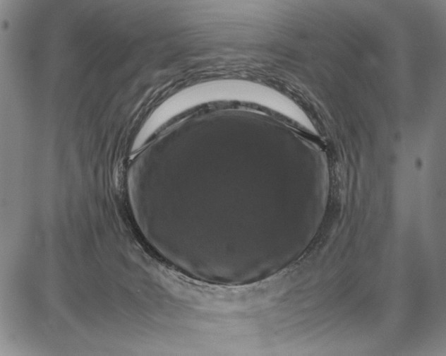 X0000087670035200705181716