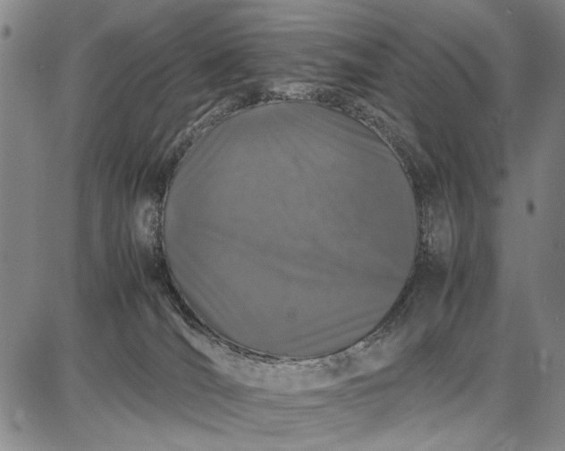 X0000087670036200705181716