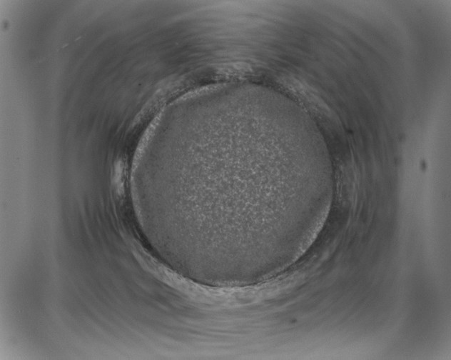 X0000087670038200705181716