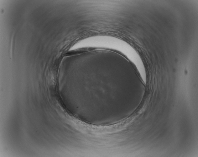 X0000087670039200705181716