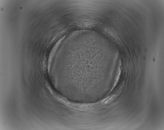 X0000087670040200705181716