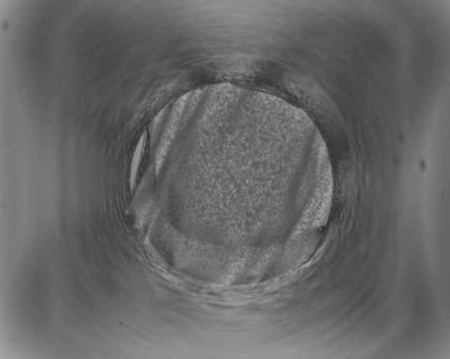 X0000087670041200705181715