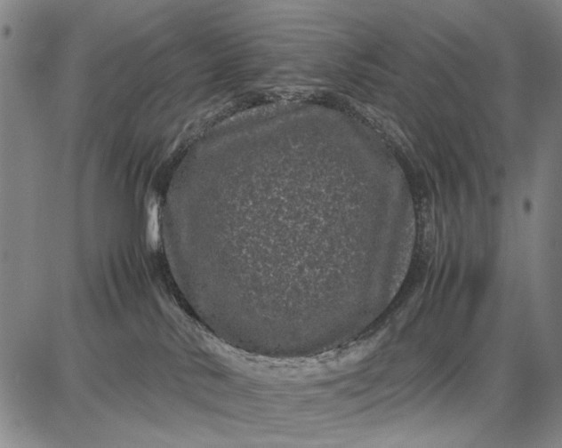 X0000087670042200705181715