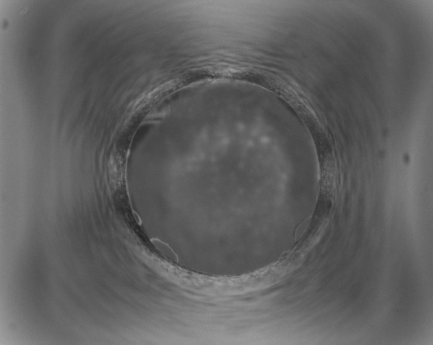 X0000087670043200705181715