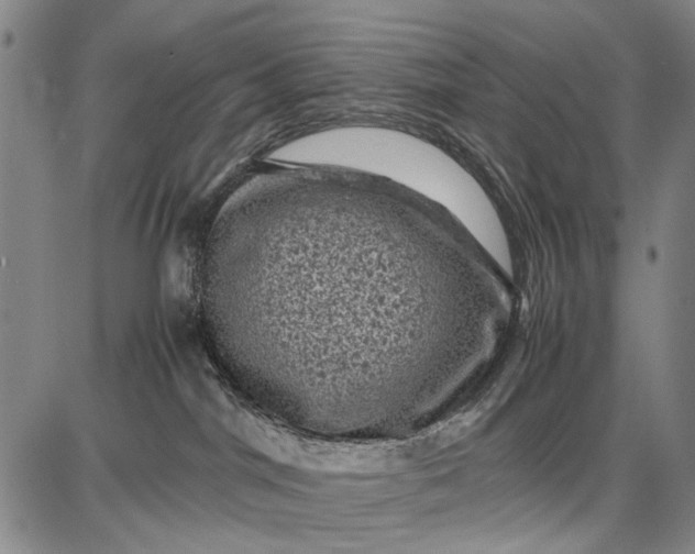 X0000087670044200705181715